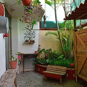 My Local Vallarta México